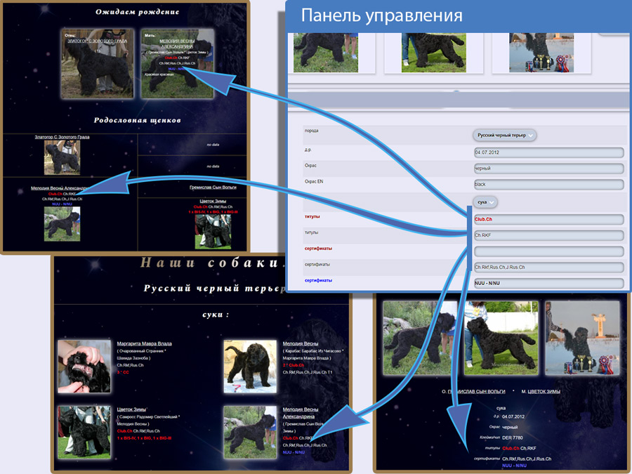 рис Создание сайтов для питомников